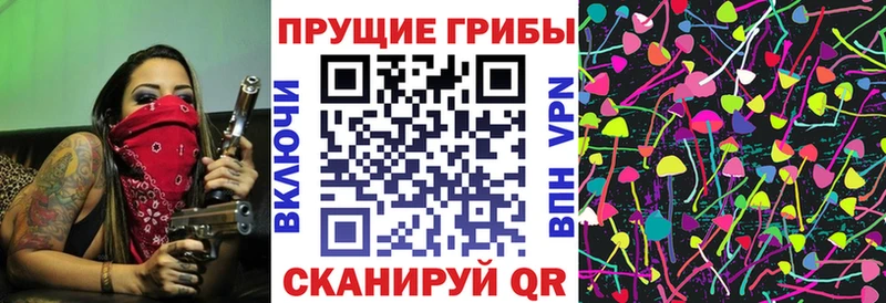 Псилоцибиновые грибы GOLDEN TEACHER  Купить  Аргун 